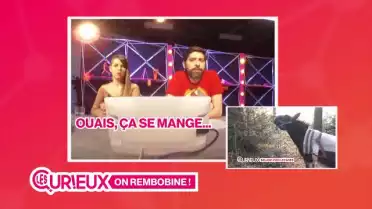 Un rôti d&#039;âne pour Yannick