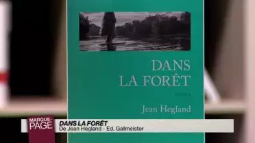 Dans la forêt