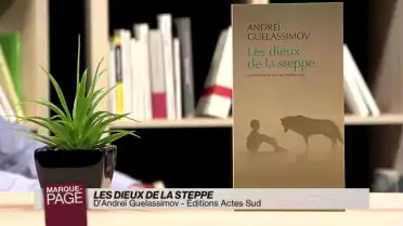 Les dieux de la steppe
