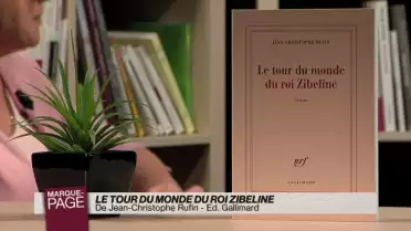 Le tour du monde du Roi Zibeline