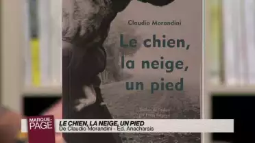 Le chien, la neige, un pied