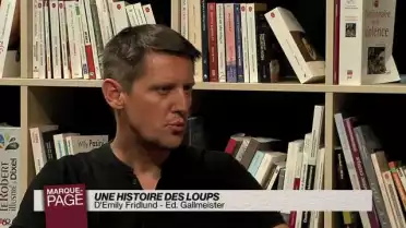 Une histoire des loups