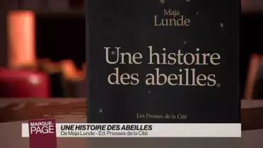 Une histoire des abeilles