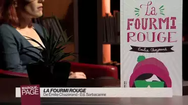 La fourmi rouge