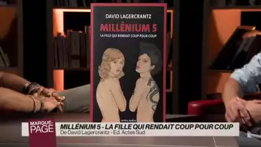Millénium 5 - La fille qui rendait coup pour coup