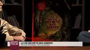 La vie secrète des arbres