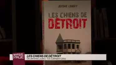 Les chiens de Détroit