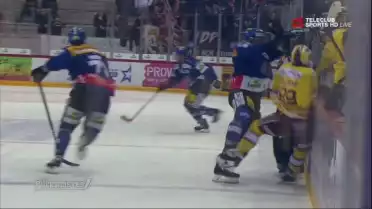 Genève a laissé la victoire à Bienne 6-3
