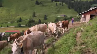 La vie à l&#039;Alpage