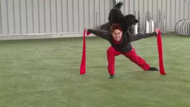Dog Dancing
