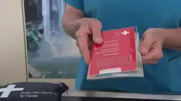 Partir en vacances avec vos animaux de compagnie