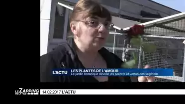 Le zapping de la semaine.