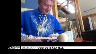 Le Zapping de La Télé