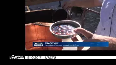 Le Zapping de La Télé
