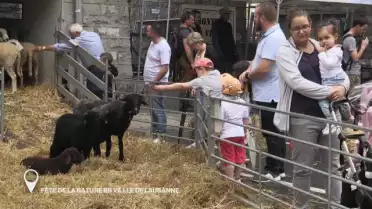 C&#039;est arrivé près de chez vous  [S.2018][E.42]