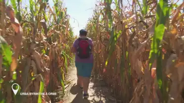 C&#039;est arrivé près de chez vous  [S.2018][E.56]