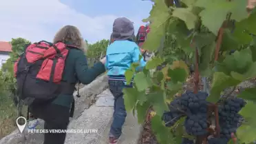 C&#039;est arrivé près de chez vous  [S.2018][E.61]