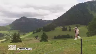Céline veut faire du ski... en été