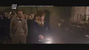 Les sorties de films du 14 et 21 novembre 2018