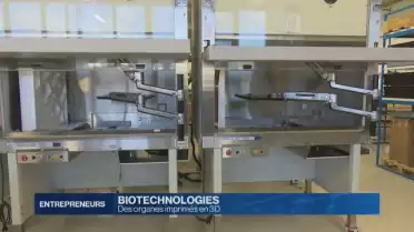 Des organes imprimés en 3D