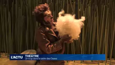 Un Loup dans le sable des Osses