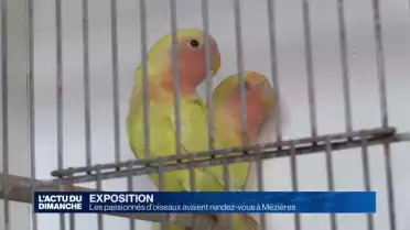 Les passionnés d’oiseaux avaient rendez-vous à Mézières
