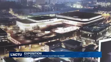 Une exposition pour découvrir Métamorphose