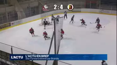 Star Forward éliminé par Brandis