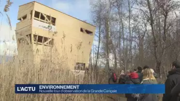 Nouvelle tour d&#039;observation de la grande Cariçaie