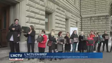 Interdire les animaux sauvages dans les cirques