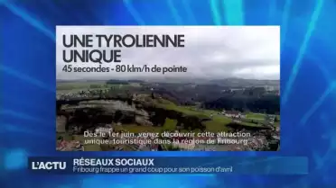 À la recherche des poissons d&#039;avril sur le net
