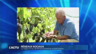 Le meilleur de l'Actu du web