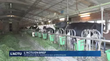 Une charte contre la resistance aux antibiotiques