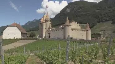 Les meilleurs chasselas du monde sont à l’honneur à Aigle
