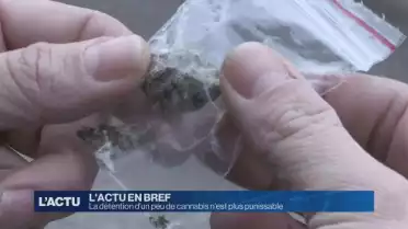 La détention d'un peu de cannabis n'est plus punissable