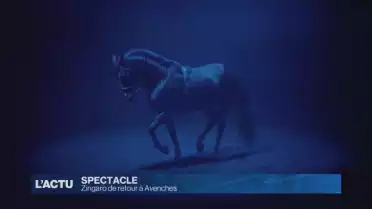 Zingaro de retour à Avenches