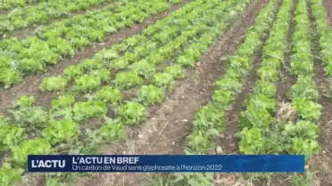 Un canton de Vaud sans glyphosate à l&#039;horizon 2022