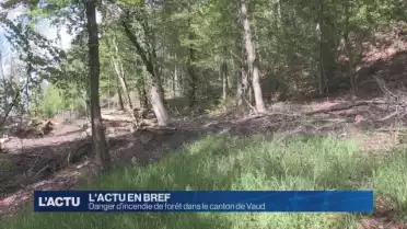Danger d’incendie de forêt dans le canton de Vaud