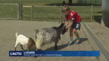 Atelier &quot;petit fermier&quot; au Signal de Bougy
