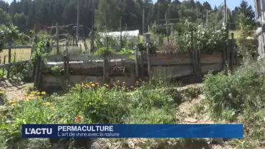 Mieux produire avec la permaculture