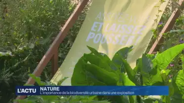 L&#039;importance de la biodiversité urbaine