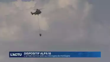 L&#039;armée vient en aide aux élevages de montagne