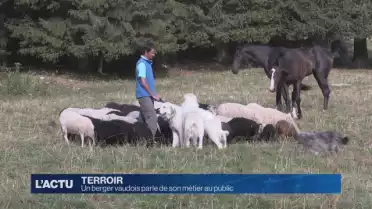 Un berger vaudois parle de son métier au public