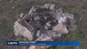 Vaud et Fribourg lèvent l&#039;interdiction du feu en forêt