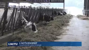Pas de changement de prix pour le lait
