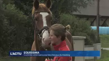 Contrôle vétérinaire pour les chevaux d'Equissima