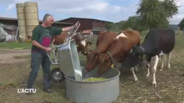 Agriculteurs en panne de fourrage
