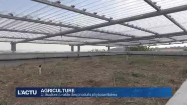 Utilisation durable des produits phytosanitaires