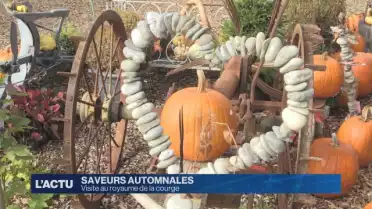 Visite au royaume de la courge