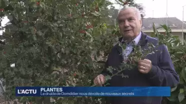 Le druide de Domdidier nous révèle de nouveaux secrets